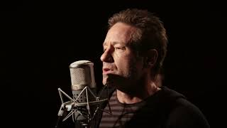 David Duchovny - Every Third Thought