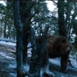 10 Bear Movies (Including Cocaine Bear) Where the Bear Was Right