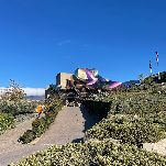 Ancient Art, Architecture and Wine Meets Modernity in Rioja