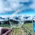 Exploring California's Anderson Valley Wine Region