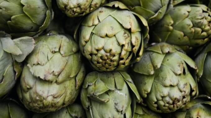 The Joy of the Afternoon Artichoke