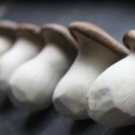Learn How to Grow Your Own Mushrooms at Home