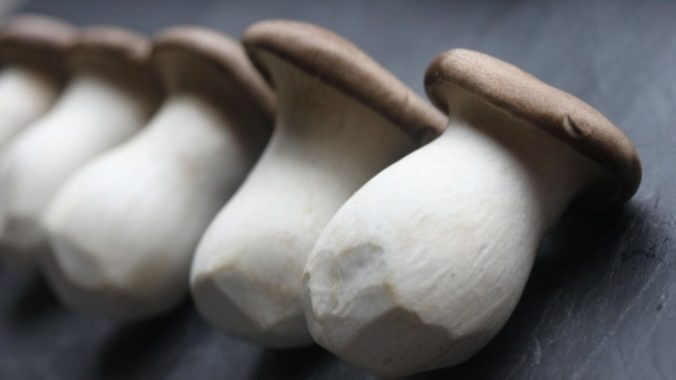 Learn How to Grow Your Own Mushrooms at Home