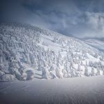 Exploring The Tohoku Region of Japan