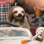 Slotherhouse Trailer Gives us Alpha, the Killer Sloth
