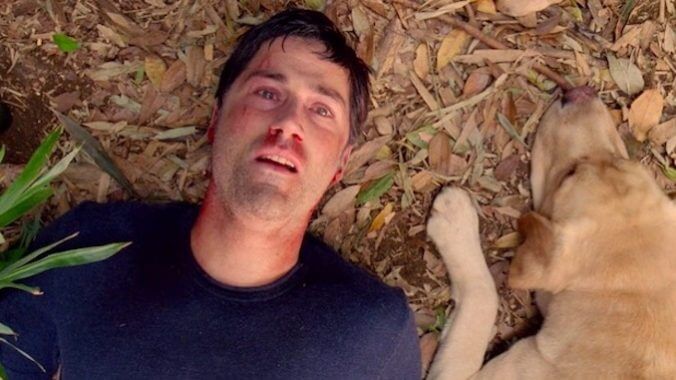 That’s All, Folks: ABC’s Biggest Series Finale Left Its Viewers Lost