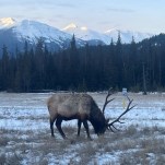 Alberta, Canada: Frozen Landscapes and Warm Hearts